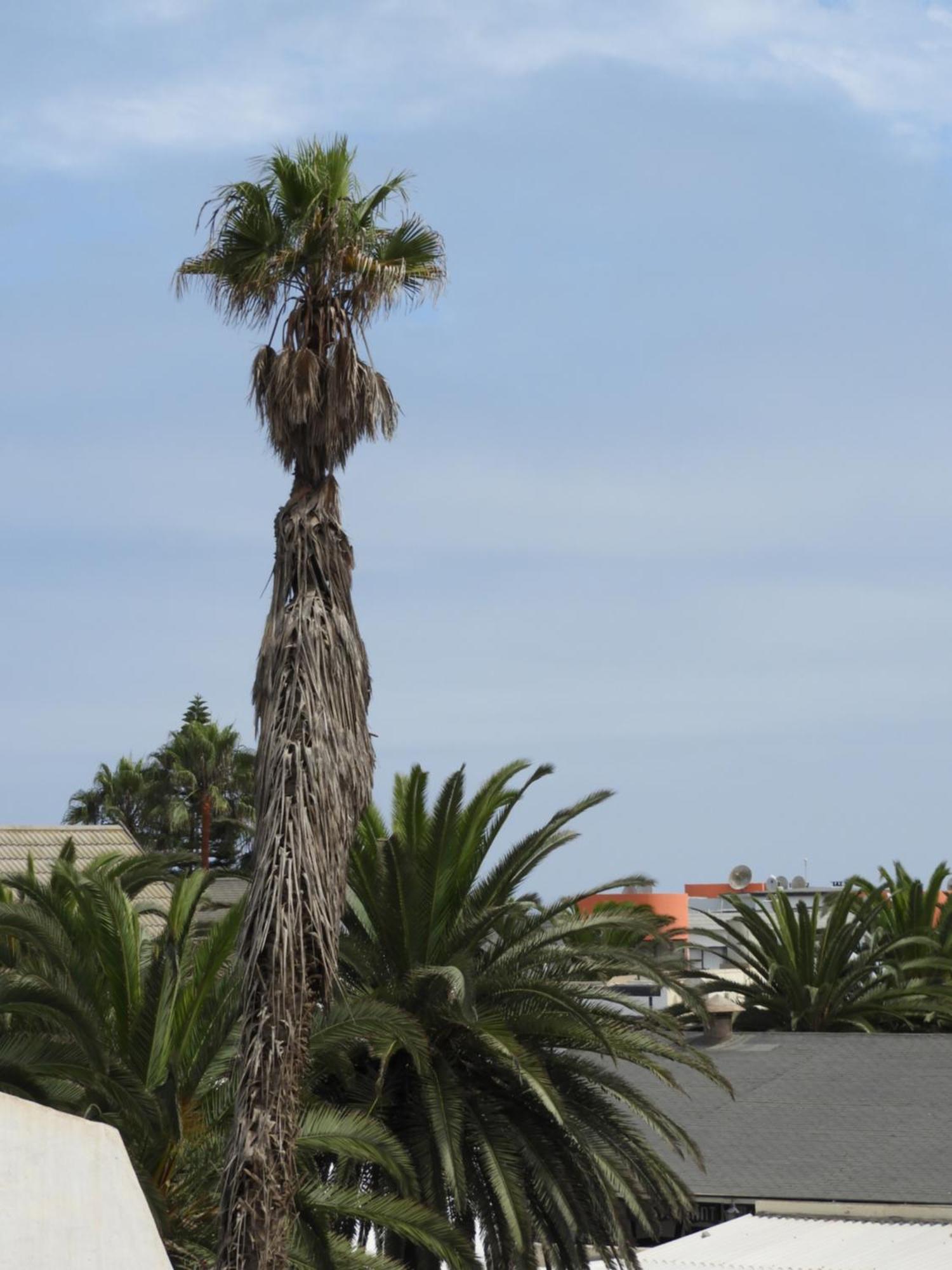 Central Self Catering Swakopmund Eksteriør bilde